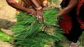 Budget 2024 expectations: Empowering women farmers with technology to transform India's agricultural economy