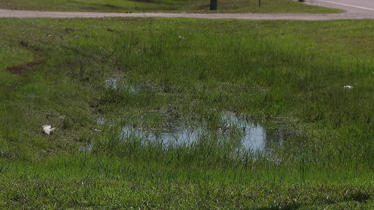 Preparing for mosquito season begins now