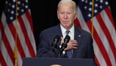 Biden's exit could prompt unwind of Trump-trade bets, while some eye divided government