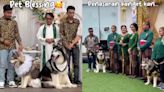 Indonesian pet owners spend over $13,000 on their dogs’ wedding