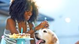 15 Ways To Celebrate a Gotcha Day for Dogs: From Pet Store Trips to Sniffaris