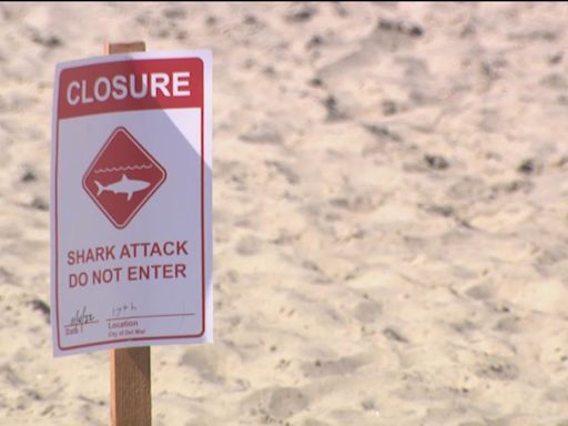 Teenager hurt after reported shark attack at popular Florida panhandle beach, deputies say