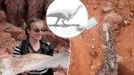 Long Island professor discovers new dinosaur in Zimbabwe: ‘Big career moment’