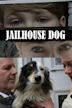 Jailhouse Dog