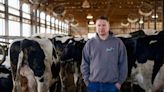 Bird flu pushes US dairy farmers to ban visitors, chop trees