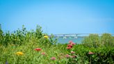 Marie Selby Botanical Gardens receives inaugural Virginia B. Toulmin Leadership Scholarship