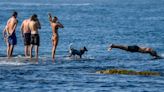 Australia: Record December heat in Sydney as temperatures hits 43.5C