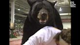 Yes, this really happened: People wrestled a 900-pound bear at the farm show complex in 1992