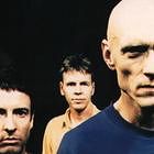 Midnight Oil