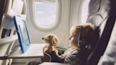 Expert Tips for Family Holiday Travel