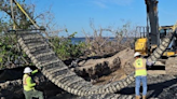 Crews installing marine matresses along Sanibel Causeway