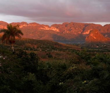 Wildfire razes pinelands near top Cuba tourist town of Viñales