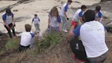 "No vuelves a ver las playas con los mismos ojos": estudiantes voluntarios retiran especies invasoras de los arenales de Vigo