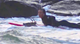 Anonymous Hero Surfer Rescues Stranded Deer in Ocean (Video)