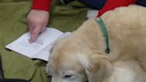 Reading to dogs at Chillicothe library helps children develop critical skills