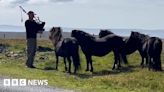 Swiss bagpiper serenades Shetland ponies