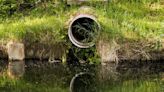 Bid to criminalise water companies that don’t tackle sewage spills fails