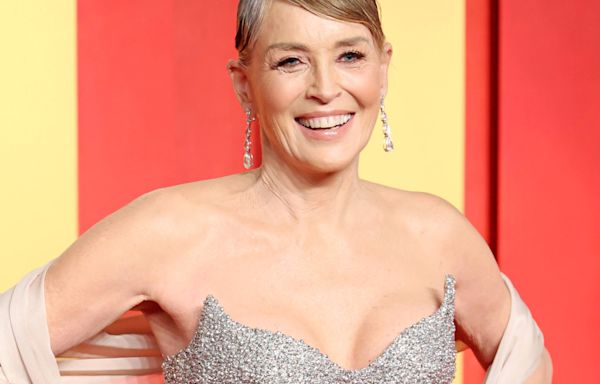 Sharon Stone's Debilitating Stroke Cost Her Millions: See Her Net Worth Now