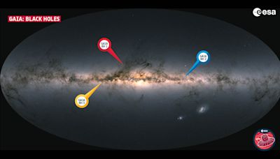 The Milky Way's Most Massive Stellar Black Hole is Only 2,000 Light Years Away