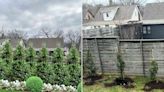 Woman Shares Landscaping Fail After Paying $4,000 for Privacy Fence: 'Went Downhill' (Exclusive)