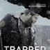 Trapped – Gefangen in Island