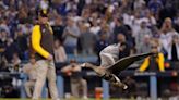 Wildlife experts explain likely reason why goose landed at Dodgers-Padres game