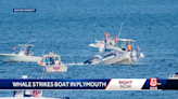 Dramatic video shows humpback whale landing on small boat: ‘It was insane’