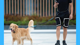 Hands-free dog leashes are trending for a reason — fetch this No. 1 bestseller for just $20