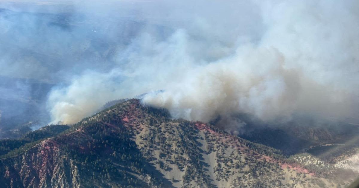 UPDATE: Vista Fire grows in size to 2,810 acres but is 13 percent contained; closure order is issued
