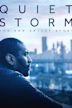 Quiet Storm: The Ron Artest Story