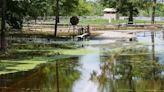 Louisiana flood insurance