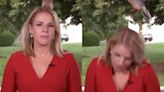 ‘Oh My God!’ Bird Roosts on Head of White House Reporter in Middle of Live Shot