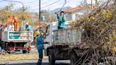 La Ciudad lleva adelante los trabajos de poda de estación | Sociedad