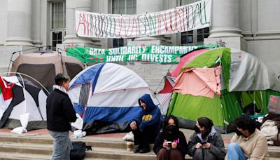 Democrats split over campus protest crackdown