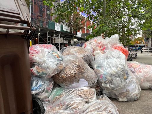 New York's viral new trash cans unveiled nearly 2 years after a $1.6 million contract with consultancy giant McKinsey