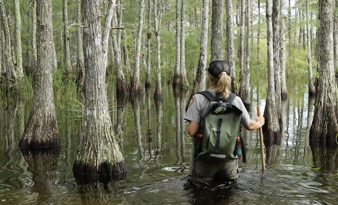 Sen. Rick Scott joins Miccosukee Tribe in argument over Big Cypress Preserve protections