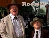 Rooster (film)