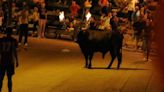 Vídeo: ¡Susto en Les Alqueries! Un toro embolado con los cuernos en llamas se cuela en una casa
