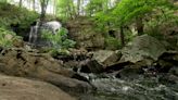 Volunteers work to restore Bays Mountain hidden gem