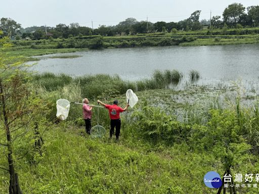 嘉義縣中埔滯洪池疑鱷魚出沒 農業處派員3天未尋獲