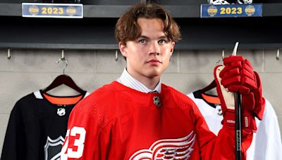 Sandin-Pellikka in 'real good developmental place' for Red Wings | NHL.com