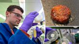 Mold turned into healthy food — including a ‘tempting-looking burger,’ researchers say