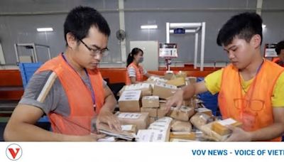 Vietnam expected to become e-commerce powerhouse in Southeast Asia