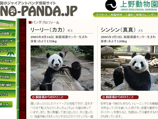 東京動物園熊貓夫婦將返回中國 遊客湧入道別