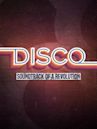 Disco: Soundtrack of a Revolution