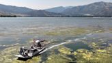 Brigham City battles algae on Mantua Reservoir, hopes to avoid another trout kill