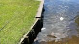 DEQ monitoring ongoing fish kill on Neuse River around New Bern