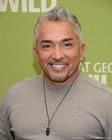 Cesar Millan