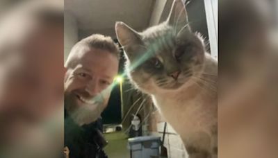 Cat Dubbed "Officer Donut" Wanders Into Police Department & Immediately Gets A Job!