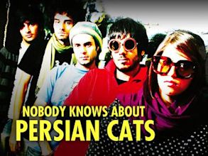 No One Knows About Persian Cats